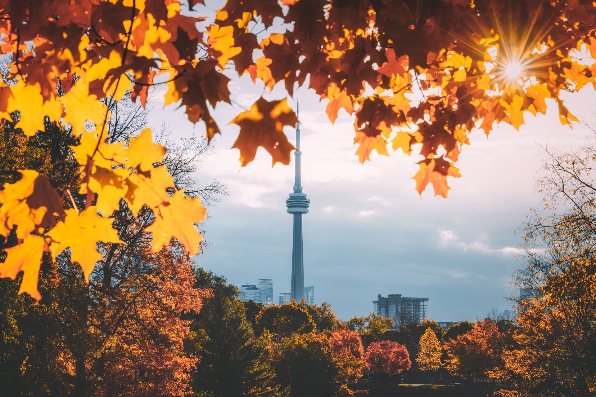 fall-toronto-downtown